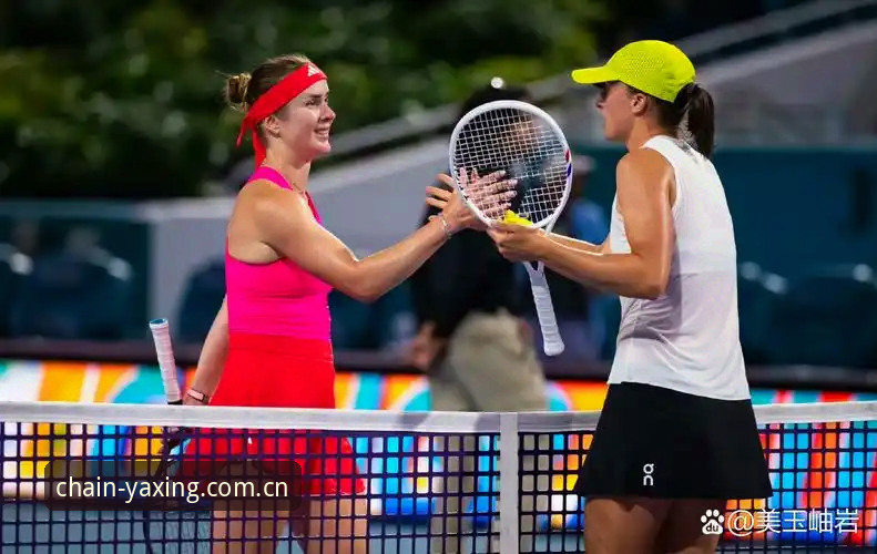自主定义标准版海外华人下载 vs 现场观赛：法网决赛哪个视角更爽？