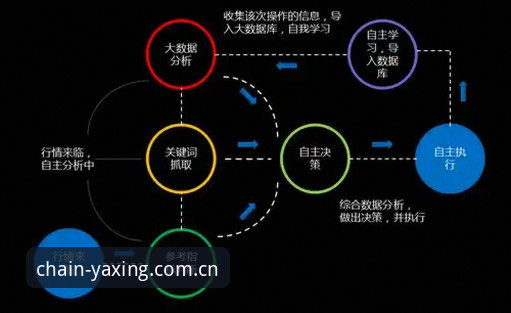 自主定义标准版海外华人下载哪个好 深度揭秘:自主定义标准版海外华人下载哪个好?一个行业分析师的原理解读